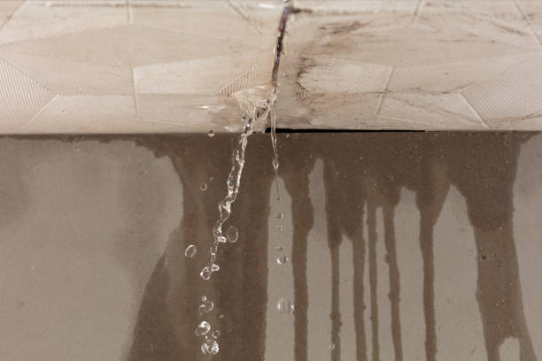Professional Flood Damage Cleanup technician working in Mineola, IA